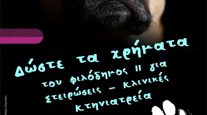 274585564_617043979362416_5567072097178396037_n Ανακοίνωση της ΠΦΠΟ για τη Σπάρτη. H κακοποίηση των ζώων σε κολαστήρια όπως το κυνοκομείο της Σπάρτης, είναι ο κανόνας και όχι η εξαίρεση. Πάρτε μέτρα τώρα!