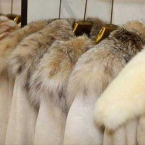 Κρεμασμένα πτώματα ζώων. Για πόσο ακόμη; Hanged animal carcasses. For how long?