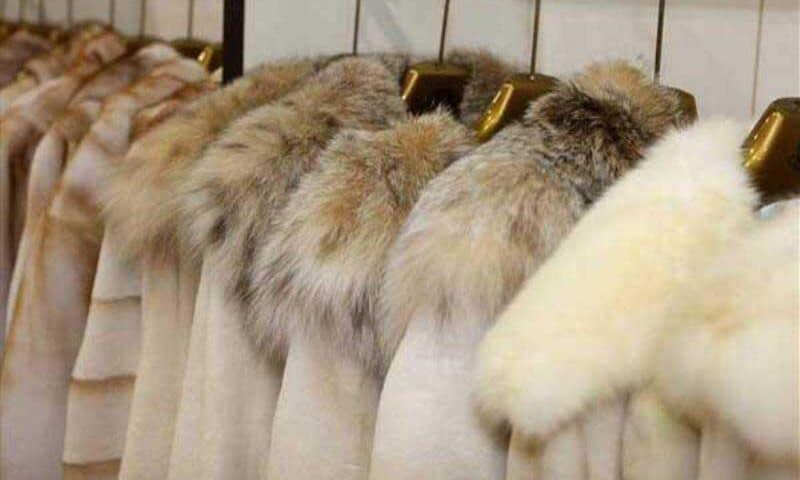 gouna-1 Κρεμασμένα πτώματα ζώων. Για πόσο ακόμη; Hanged animal carcasses. For how long?
