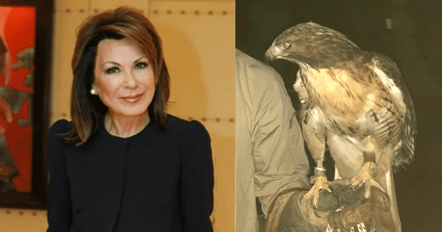 Ανοιχτή επιστολή προς τον Πρύτανη του ΕΚΠΑ και Πρόεδρο του Βοτανικού Κήπου Διομήδους, κ. Μελέτιο-Αθανάσιο Δημόπουλο  Τα θεάματα με αρπακτικά είναι παράνομα, αντιπαιδαγωγικά και αντίθετα με την προστασία της φύσης. Το ΕΚΠΑ, οφείλει μια δημόσια απάντηση.