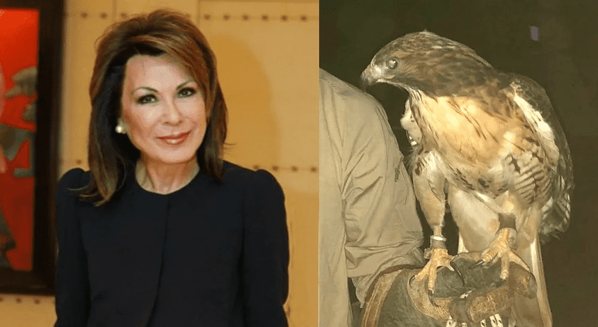 Ανοιχτή επιστολή προς τον Πρύτανη του ΕΚΠΑ και Πρόεδρο του Βοτανικού Κήπου Διομήδους, κ. Μελέτιο-Αθανάσιο Δημόπουλο  Τα θεάματα με αρπακτικά είναι παράνομα, αντιπαιδαγωγικά και αντίθετα με την προστασία της φύσης. Το ΕΚΠΑ, οφείλει μια δημόσια απάντηση.