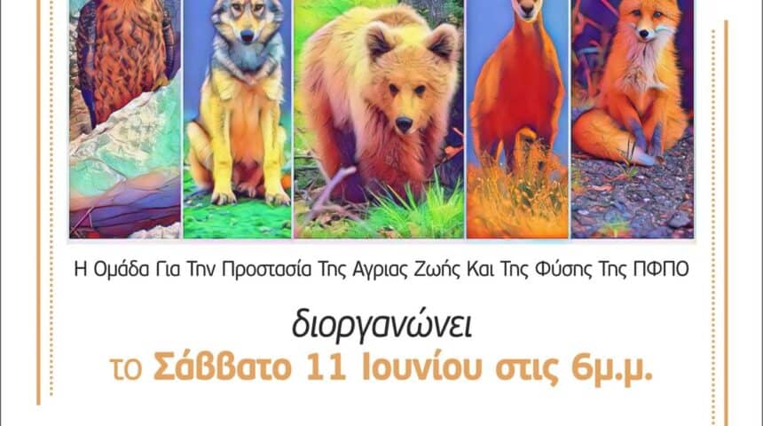 Πρόγραμμα Διαδικτυακής Ημερίδας – Ομιλητές