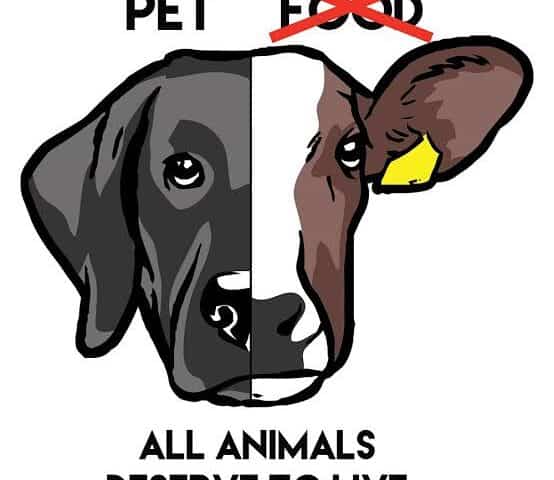 Επερώτηση στη Βουλή του βουλευτή του ΜεΡΑ25 Κρίτωνα Αρσένη: Τι γίνεται με τις λατρευτικού τύπου σφαγές;