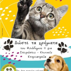 Δελτίο τύπου: Πρωτοφανής η αδράνεια της Πολιτείας ενώ τα προβλήματα με τα ζώα συντροφιάς πολλαπλασιάζονται – Press release: Unprecedented inaction of the State while problems with companion animals multiply