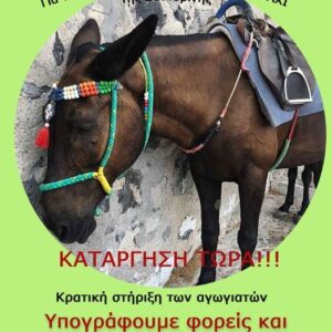 Καμπάνια ΠΦΠΟ Κατάργηση Τώρα!!! Γαϊδουράκια στη Σαντορίνη