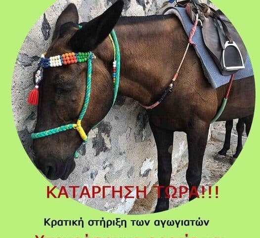 Καμπάνια ΠΦΠΟ Κατάργηση Τώρα!!! Γαϊδουράκια στη Σαντορίνη