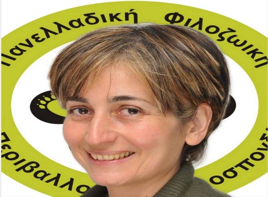 Η Πανελλαδική Φιλοζωική Περιβαλλοντική Ομοσπονδία [Π.Φ.Π.Ο] κάνει Επανεκκίνηση. Ανανεωμένη και έτοιμη για νέες διεκδικήσεις, ενώνοντας αρμονικά την Εμπειρία και την Ιστορία της με μια καινούργια Πνοή.