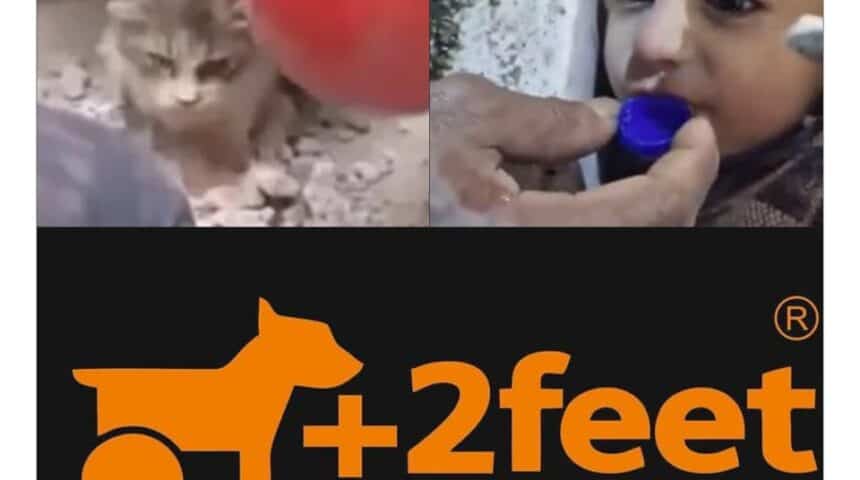 328103995_998372221124617_4832039816599244340_n H ΠΦΠΟ ΣΤΗΡΙΖΕΙ και ΠΡΟΩΘΕΙ την προσπάθεια του Vassilis Tzigouras II & της Marias Martoğlu
