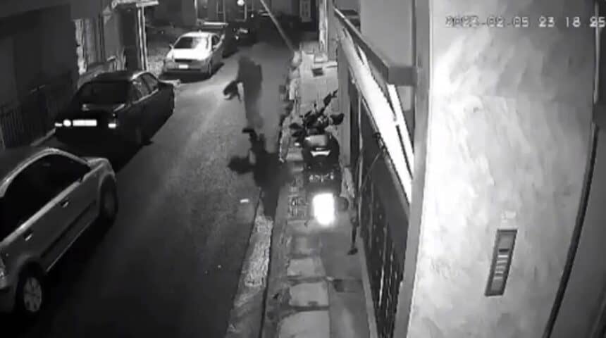 Για τις σκοτωμένες βασανιστικά γάτες του Βοτανικού – Βοήθεια για το δικαστικό μας αγώνα
