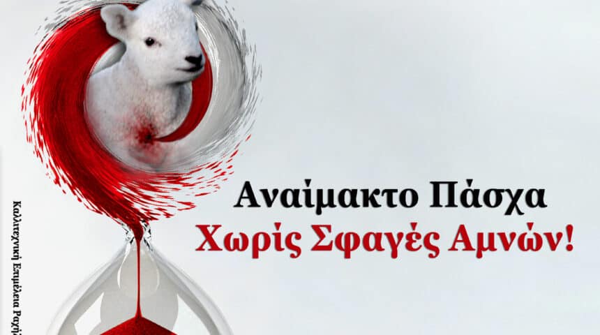 339053221_1919786815049656_600690247697603926_n Η σφαγή δεν είναι αγάπη!!