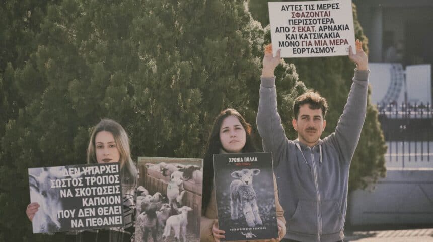 340756596_951679196075000_7785431148040652715_n Δράση «vigil” σήμερα σε σφαγεία από μέλη της Ακτιβιστικής Ομάδας “ LiberAnimal Patras”