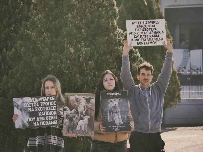 Δράση «vigil” σήμερα σε σφαγεία από μέλη της Ακτιβιστικής Ομάδας “ LiberAnimal Patras”