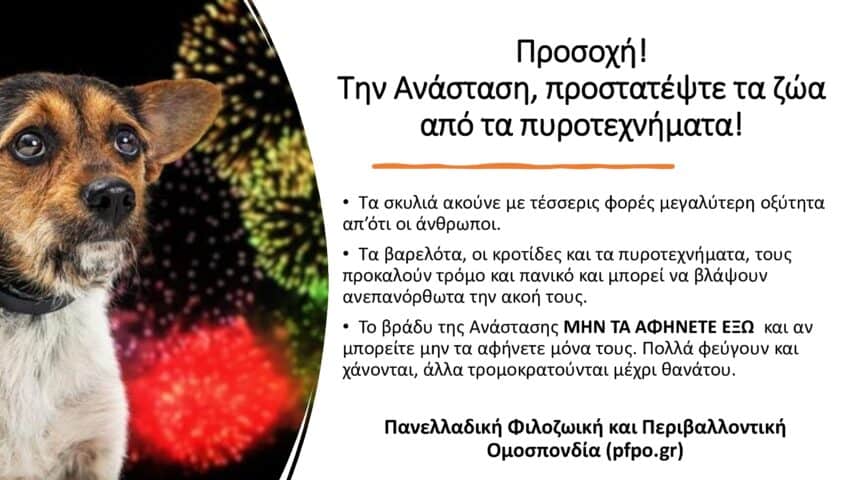 341100053_186524580861649_7278466605619415725_n ΠΡΟΣΟΧΗ!!! ΠΡΟΣΤΑΤΕΨΤΕ ΤΑ ΖΩΑ ΣΑΣ!!