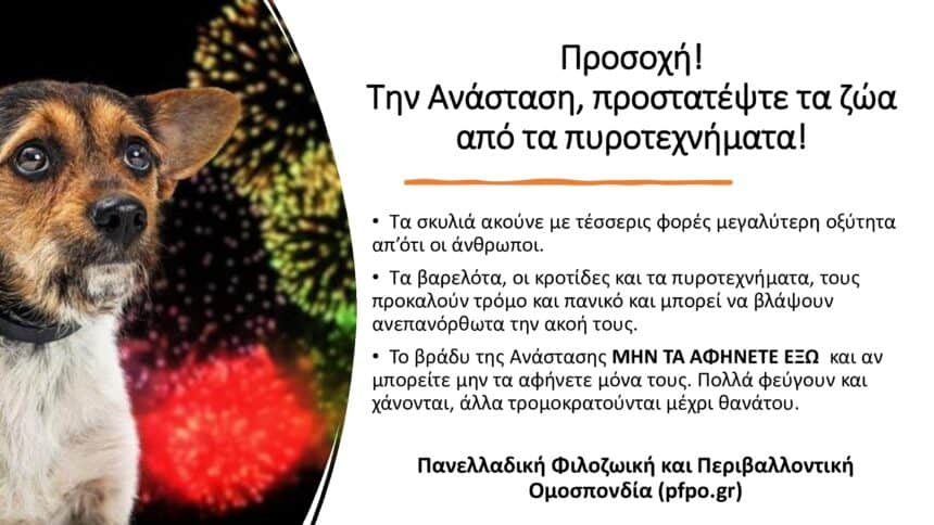 ΠΡΟΣΟΧΗ!!! ΠΡΟΣΤΑΤΕΨΤΕ ΤΑ ΖΩΑ ΣΑΣ!!