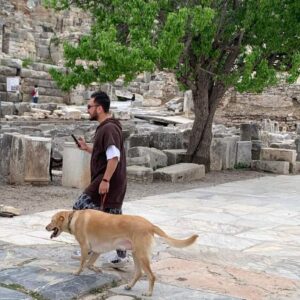 Γνωμοδότηση του ΚΑΣ για την είσοδο ζώων συντροφιάς σε υπαίθριους αρχαιολογικούς χώρους