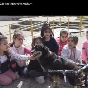 Το Σωματείο μας στα Χανιά κερδίζει βραβείο στο μαθητικό διαγωνισμό ταινιών με αντικείμενο της ταινίας τα αδέσποτα ζώα