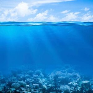Παγκόσμια ημέρα ωκεανών – 8 Ιουνίου
