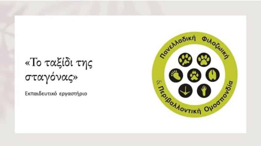 351359524_1026190691899100_2787447538384420638_n ΕCO VOICE!