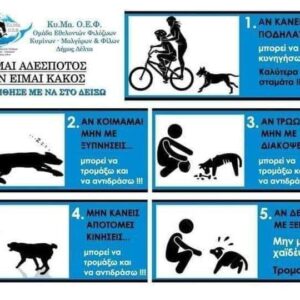 ΕΙΜΑΙ ΑΔΕΣΠΟΤΟΣ – ΔΕΝ ΕΙΜΑΙ ΚΑΚΟΣ!