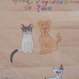 355877512_584267397187780_8931163746291067553_n «Νοιάζομαι και κάνω ό,τι μπορώ για τα ζωάκια στο δρόμο» Ένα project φιλοζωίας στο 62ο Δημοτικό Σχολείο Πατρών, 2022-‘23