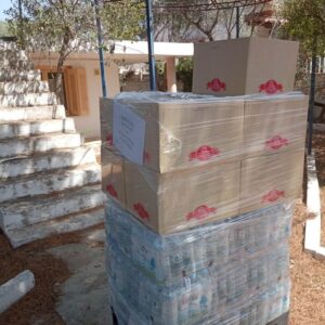 Landfill dogs in Loutraki