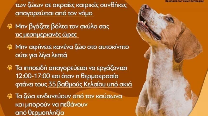 ΠΡΟΣΟΧΗ!! ΚΑΥΣΩΝΑΣ!!