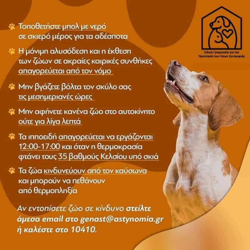ΠΡΟΣΟΧΗ!! ΚΑΥΣΩΝΑΣ!!