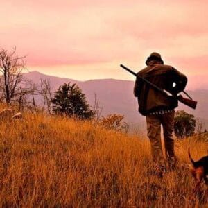 BURNT AREAS: TOTAL BAN OF HUNTING AND BAN ON ANY WORK