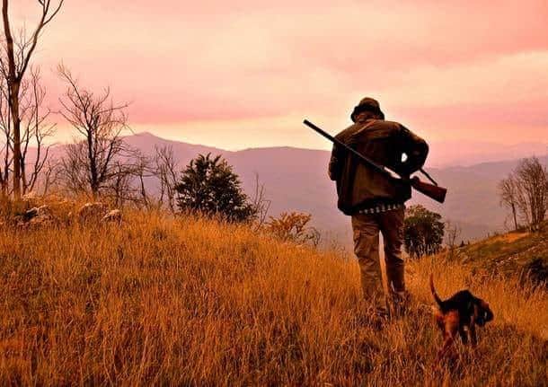 BURNT AREAS: TOTAL BAN OF HUNTING AND BAN ON ANY WORK