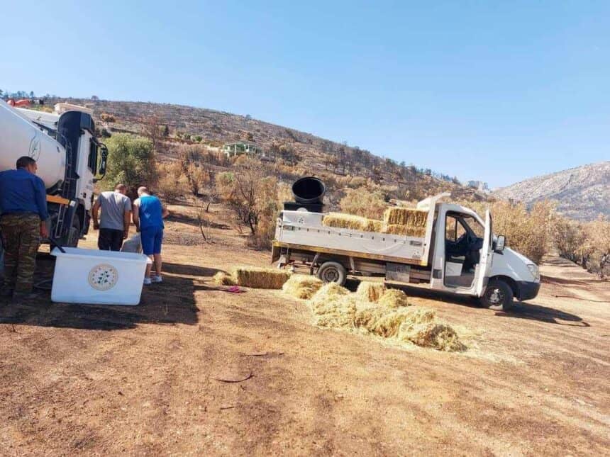 Τροφή και νερό για τα ζώα της Πάρνηθας