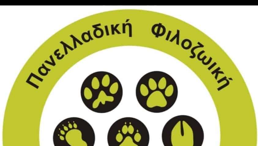 Η ΠΦΠΟ στο WOOF FESTIVAL 2023