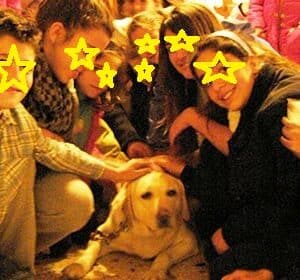 Το Διασχολικό Πρόγραμμα-Άτυπο Δίκτυο Σχολείων «Προστασία και Φροντίδα Ζώων Συντροφιάς» της ΠΦΠΟ