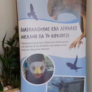 391727793_642695271344992_8206014350209928752_n Δελτίο Τύπου για τη συμμετοχή της ΠΦΠΟ στο Διεθνές Συνέδριο για το κιρκινέζι