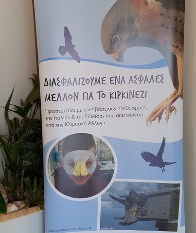 391727793_642695271344992_8206014350209928752_n Δελτίο Τύπου για τη συμμετοχή της ΠΦΠΟ στο Διεθνές Συνέδριο για το κιρκινέζι