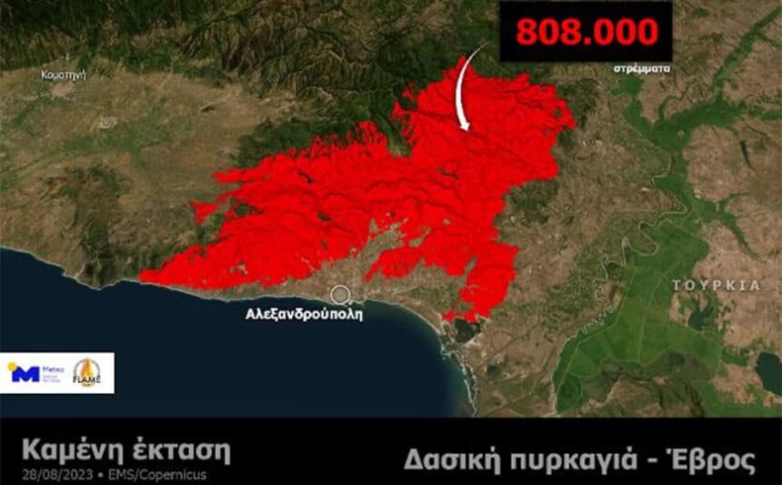 Αδιανόητη η άδεια για εξόντωση της άγριας ζωής στον Έβρο!!!