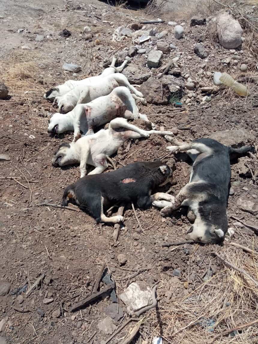 EΓΚΛΗΜΑΤΑ ΣΤΟ ΔΗΜΟ ΑΓΡΙΝΙΟΥ !