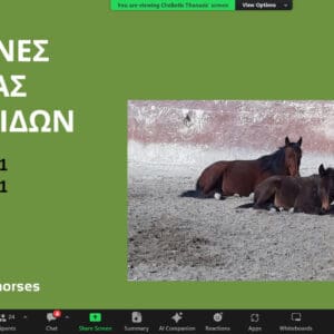 446873526_766886522259199_17047464121232413_n Σεμινάριο για τα Ιπποειδή, διοργανώθηκε από την Πανελλαδική Φιλοζωική και Περιβαλλοντική Ομοσπονδία
