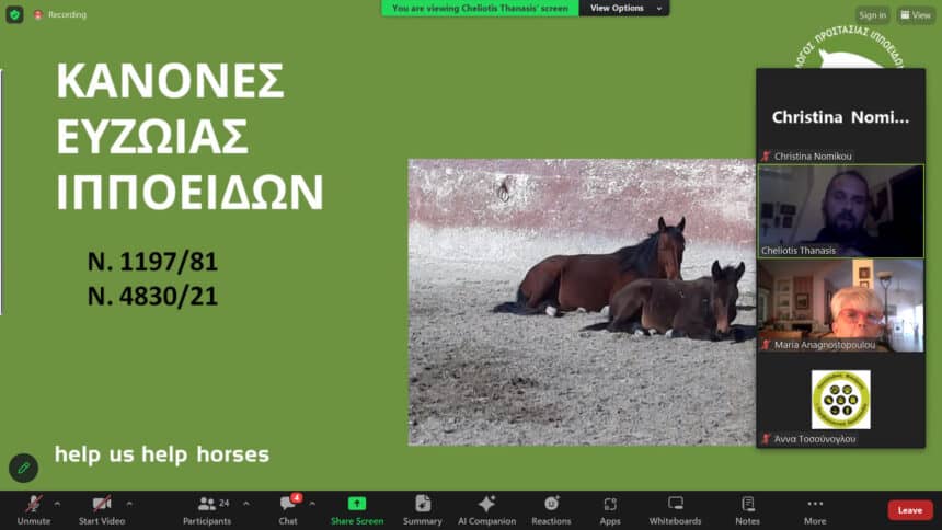 Σεμινάριο για τα Ιπποειδή, διοργανώθηκε από την Πανελλαδική Φιλοζωική και Περιβαλλοντική Ομοσπονδία