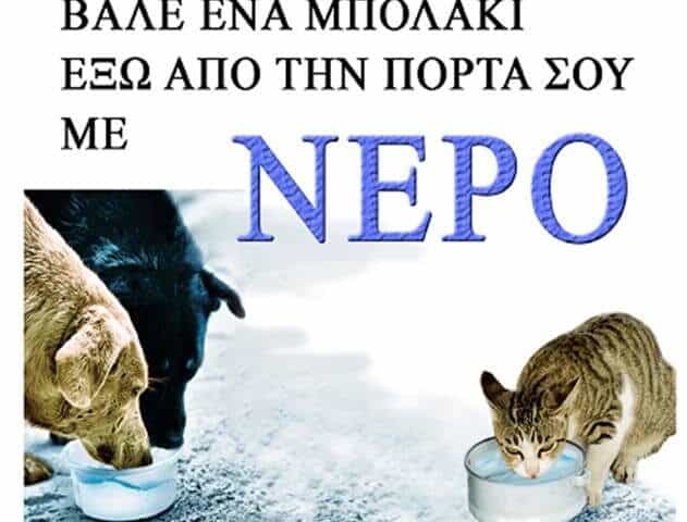 447647730_772212158393302_7083974351607670158_n ΜΗΝ ΞΕΧΝΑΣ!!!