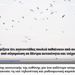 Η Dreamteam ξεκινάει τη νέα τηλεοπτική και ραδιοφωνική καμπάνια για την επικινδυνότητα των βεγγαλικών για ανθρώπους και ζώα!