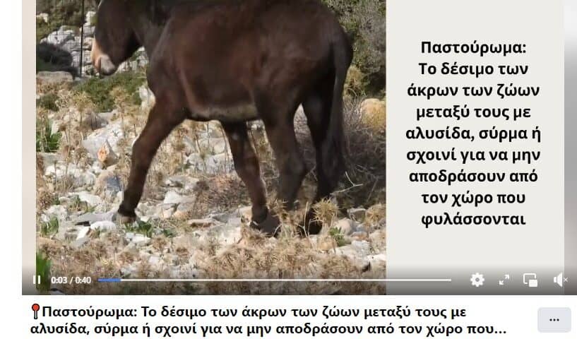 Screenshot 2024-08-06 094520 Παστούρωμα