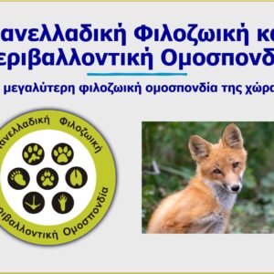 Σεμινάριο για τα φιλοζωικά προγράμματα της ΠΦΠΟ σε εκπαιδευτικούς του Δικτύου Φιλόζωων Σχολείων «Προστασία και Φροντίδα των Ζώων Συντροφιάς»