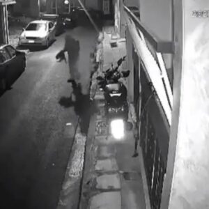 ΜΕ ΠΑΡΑΣΤΑΣΗ ΠΟΛΙΤΙΚΗΣ ΑΓΩΓΗΣ ΤΗΣ ΠΦΠΟ, ΣΤΗΝ ΥΠΟΘΕΣΗ ΔΟΛΟΦΟΝΙΑΣ ΓΑΤΙΩΝ ΣΤΟ ΒΟΤΑΝΙΚΟ