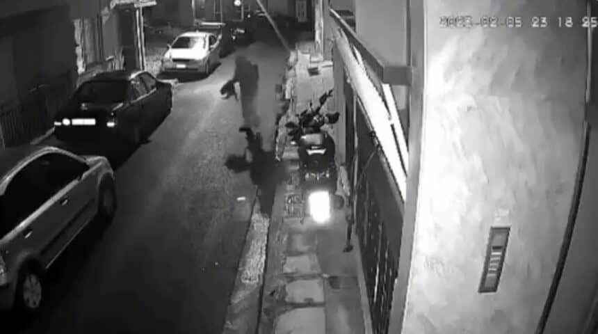480520210_940211341593382_1256012744617823664_n ΜΕ ΠΑΡΑΣΤΑΣΗ ΠΟΛΙΤΙΚΗΣ ΑΓΩΓΗΣ ΤΗΣ ΠΦΠΟ, ΣΤΗΝ ΥΠΟΘΕΣΗ ΔΟΛΟΦΟΝΙΑΣ ΓΑΤΙΩΝ ΣΤΟ ΒΟΤΑΝΙΚΟ