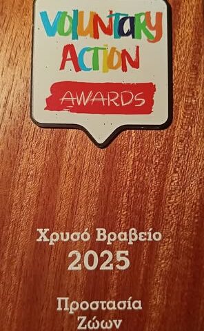 484123466_955880103359839_7548537174942399817_n Απονομή του χρυσού βραβείου, στην κατηγορία Προστασία των ζώων, στο Φεστιβάλ Εθελοντισμού
