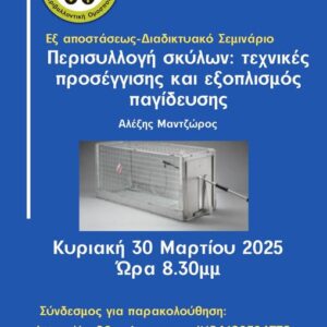 Διαδικτυακό σεμινάριο: “Περισυλλογή σκύλων : τεχνικές προσέγγισης και εξοπλισμός παγίδευσης”