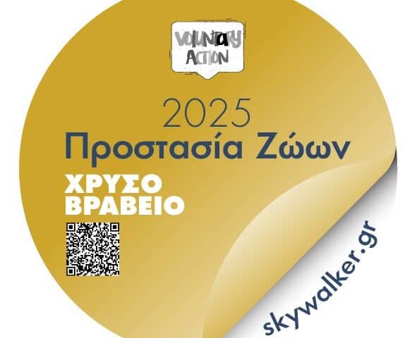 500109505_1007688674845648_8667693443595277394_n Χρυσό Βραβείο 2025 για την ΠΦΠΟ στο Φεστιβάλ “Voluntary Action Awards 2025″