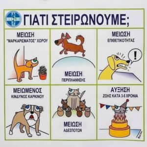 Να ισχύσει άμεσα ο νόμος για την στείρωση των ζώων συντροφιάς!