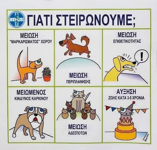 Να ισχύσει άμεσα ο νόμος για την στείρωση των ζώων συντροφιάς!